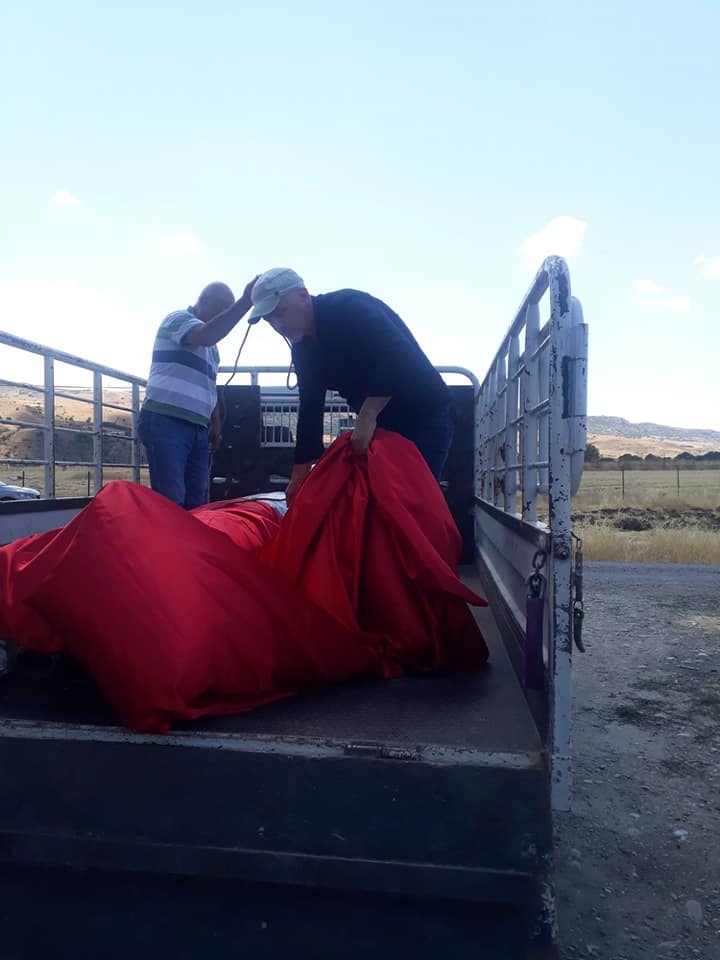 Hasret Gültekin’in heykeli PSAKD heyetince alınarak bir mekana kaldırıldı