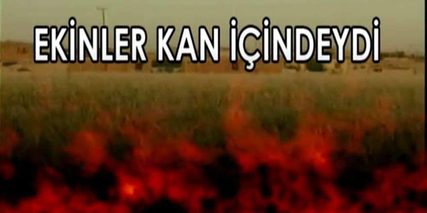 Ekinler kan içindeydi