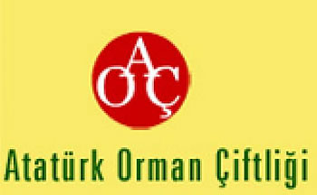 Ata'nın sofrasında içki yasağı iddiası