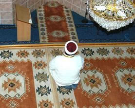 Alevi'ye Ders, Otistiğe Dua ve Denizgöründü