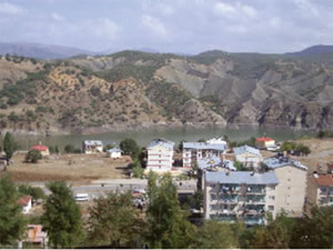 Değil isyan, asayiş sorunu bile yoktu