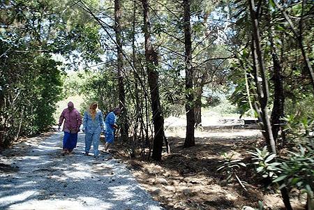 Harem-selamlığa özel milli park!