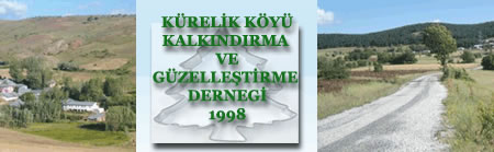 Aleviler Kendi Köylerinde Cami İmamı İstemiyor