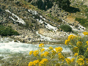 Munzur'da Doğayla Oynanan Oyun...
