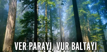 "Ver parayı, vur baltayı" yasası