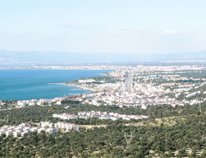 Afrodit'ten Sarıkız'a: Tahtakuşlar